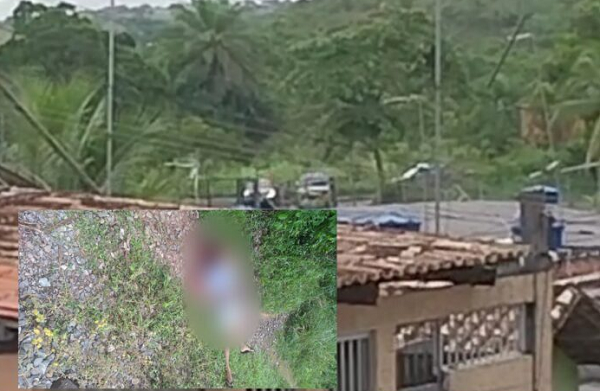 (Foto: Reprodução)