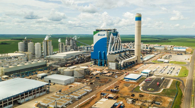 Bracell, segundo maior produtor de celulose de mercado (Foto: Reprodução)