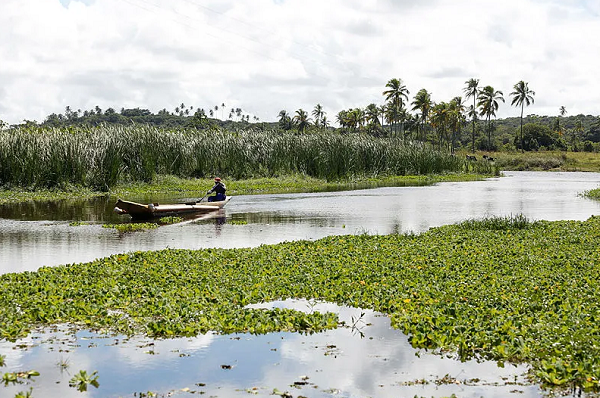 Pescadores da localidade de Areias, litoral de Camaçari, apresentam altos índices de insuficiência renal provocada pela contaminação da água (Foto: Olga Leiria/Ag. A Tarde)