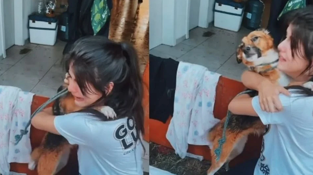 Registro mostra o reencontro de uma mulher com o cachorro perdido em função das enchentes de Porto Alegre (Foto: Reprodução)