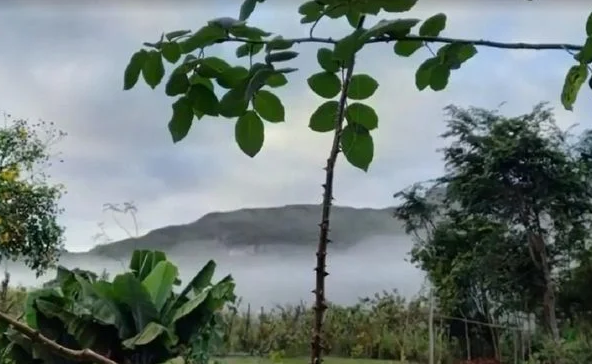 Elevação da amplitude térmica marca o inverno no interior baiano (Foto: Reprodução)