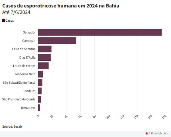(Foto: Reprodução)
