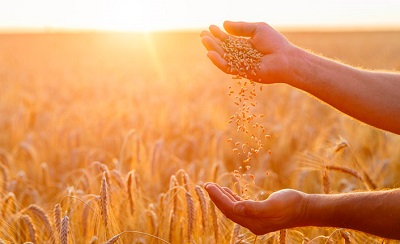 '(...)Não sejas sábio a teus próprios olhos; teme ao Senhor e aparta-te do mal. Isto será saúde para o teu âmago, e medula para os teus ossos'. (Provérbios 3; 7, 8)