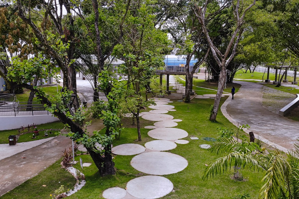 Horto Florestal em Camaçari (Foto: Reprodução)