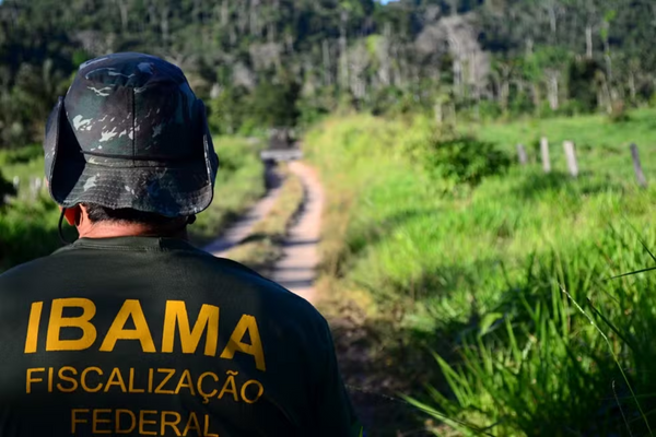 Oportunidades são para os cargos de analista administrativo e de analista ambiental (Foto: Divulgação/Ibama)