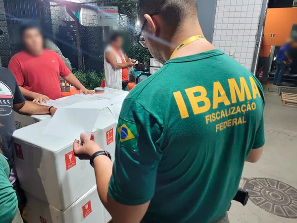 Qualquer pessoa, com nível superior em qualquer área de formação,poderá participar (Foto: Divulgação)