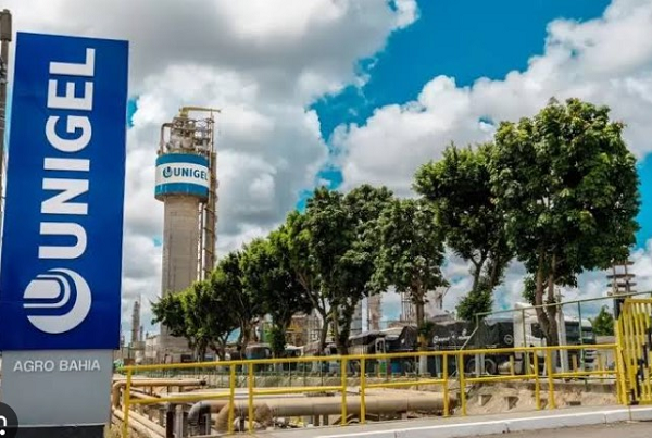 Atualmente, as fábricas são operadas pela Unigel (Foto: Reprodução)