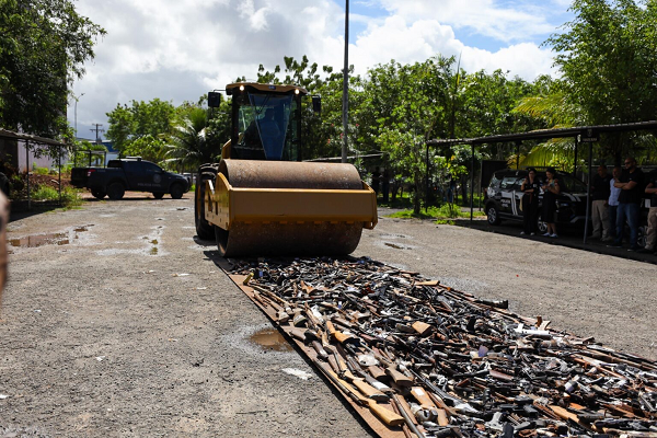 Ação realizada por meio da Coordenação de Fiscalização de Produtos Controlados (CFPC) (Foto: Divulgação)