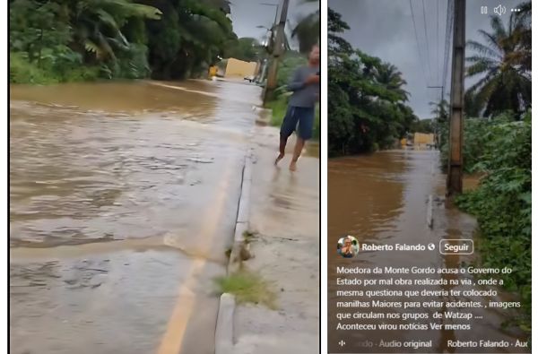 Aterrar ou construir sobre esses locais constitui crime ambiental. Foto: Print do vídeo