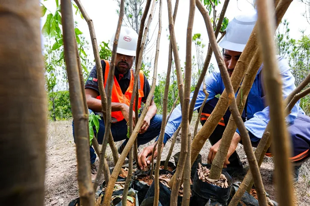 (Foto: Marketing/BYD Auto do Brasil)