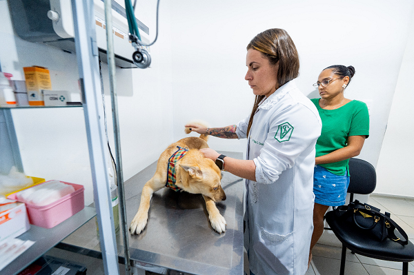 Ação contribui para o controle populacional de animais, impactando também na redução de doenças zoonóticas (Foto: Divulgação)