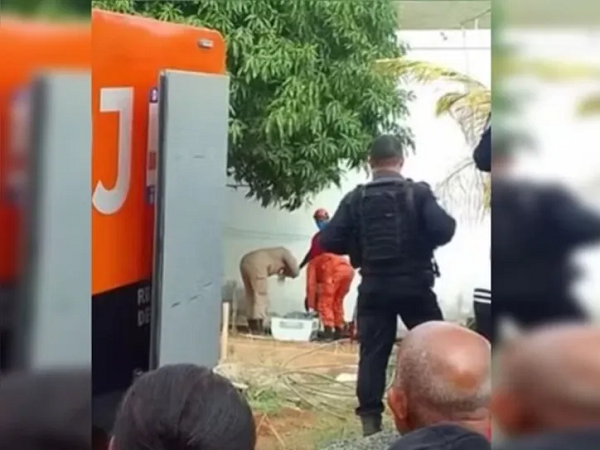 (Foto: Reprodução/PCERJ)