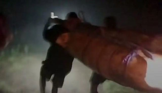 Voluntários descem com o corpo da brasileira Juliana Marins (Foto: Reprodução)