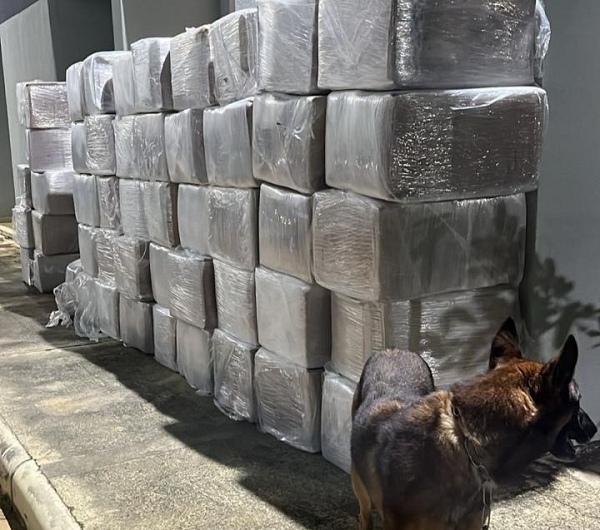 Com auxílio de um cão farejador da CIPE SUDOESTE, a carga de maconha foi localizada (Foto: Divulgação/Ascom SSP)