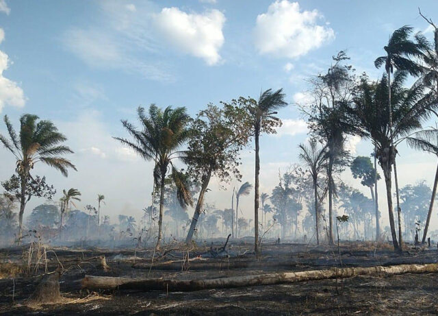 QUEIMADAS AMAZONIA
