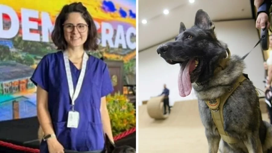 veterinaria-atacada-por-cao-do-senado-morre-apos-q0139941800202608221804-ScaleDownProportional