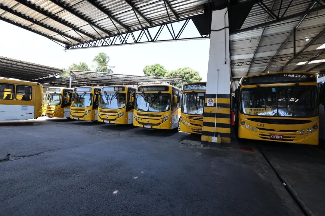 procon-encontra-370-onibus-parados-em-garagens-de-0140705800202610251458-ScaleDownProportional