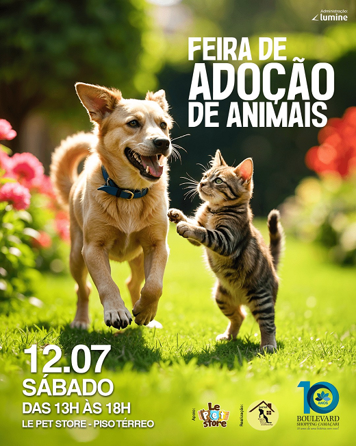 (Foto: Divulgação)