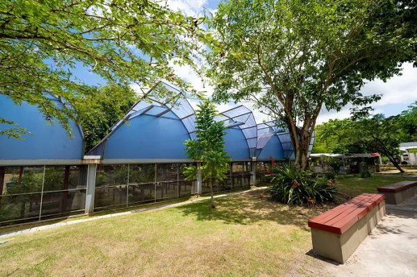 Participação é voluntária, sem remuneração, e considerada de relevante interesse público (Foto: Divulgação/Prefeitura de Camaçari)