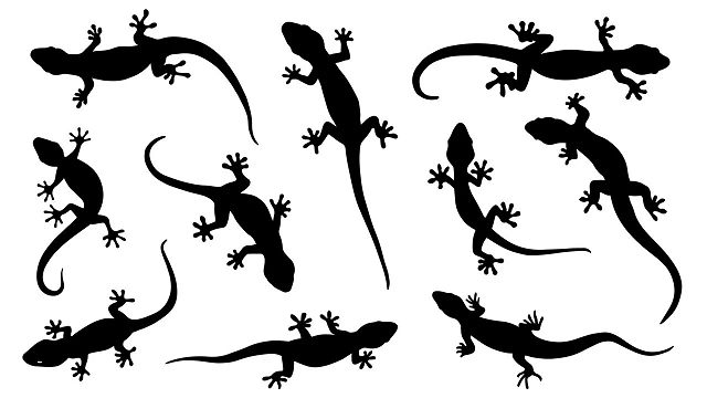 Largatixas (Foto: depositphotos.com/yyanng)