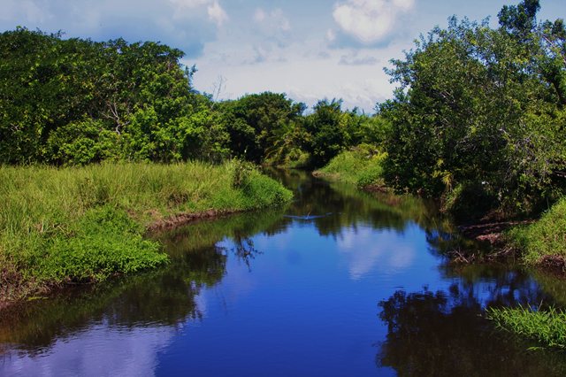 Lançamentos de efluentes não tratados ou fora dos padrões legais contribuíram para a contaminação do solo e da água do município (Foto: José Pires de Carvalho) Lançamentos de efluentes não tratados ou fora dos padrões legais contribuíram para a contaminação do solo e da água do município (Foto: José Pires de Carvalho)