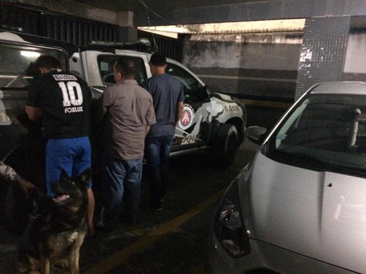 Ajax, um cachorro da raça Pastor Alemão, ajudou a localizar a droga (Foto: Divulgação) Ajax, um cachorro da raça Pastor Alemão, ajudou a localizar a droga (Foto: Divulgação)