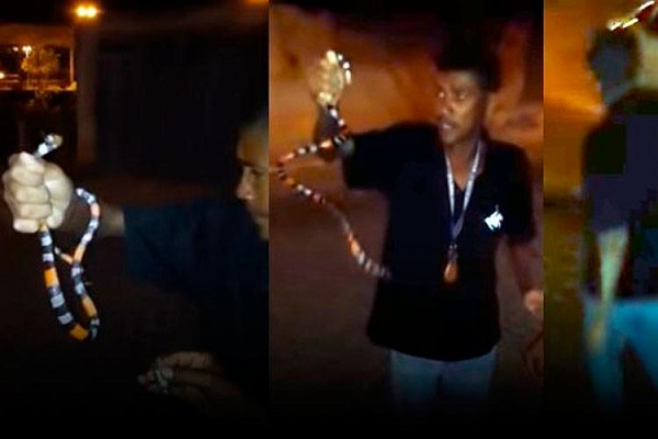Vítima encontrou a cobra na rua (Foto: Reprodução)