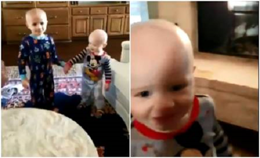 Teddy, Freddie e Eloise tiveram as cabeças raspadas (Foto: Reprodução)