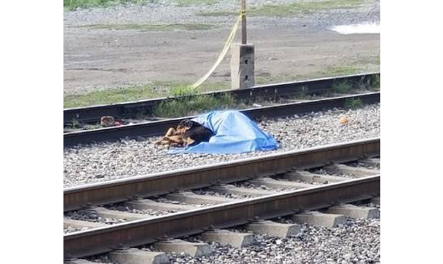 O animal ficou deitado ao lado do corpo por algumas horas, até a chegada do rabecão