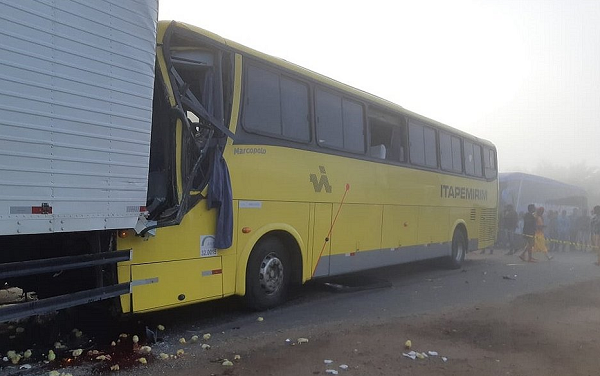 O ônibus havia saído do Rio de Janeiro com destino a Aracaju e transportava 40 passageiros (Foto: Reprodução)