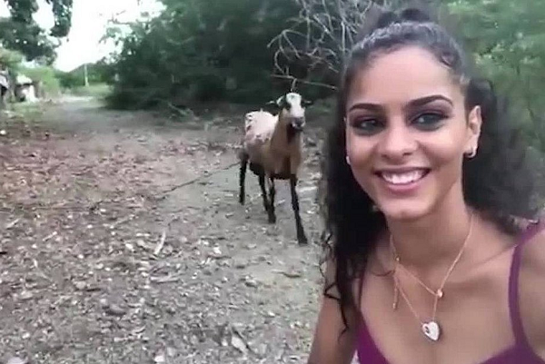 Garota leva cabeçada de um bode ao tentar fazer selfie (Foto: Reprodução | YouTube)