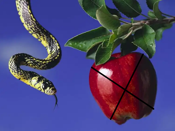 '(...)Porque a lei do Espírito de vida, em Cristo Jesus, me livrou da lei do pecado e da morte'. Romanos 8:2.