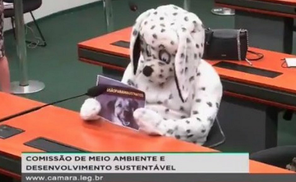 A sessão foi realizada pela comissão de Meio Ambiente e Desenvolvimento Sustentável (CMADS) e a discussão girou em torno do uso dos cachorros em testes de produtos (Foto: Reprodução)